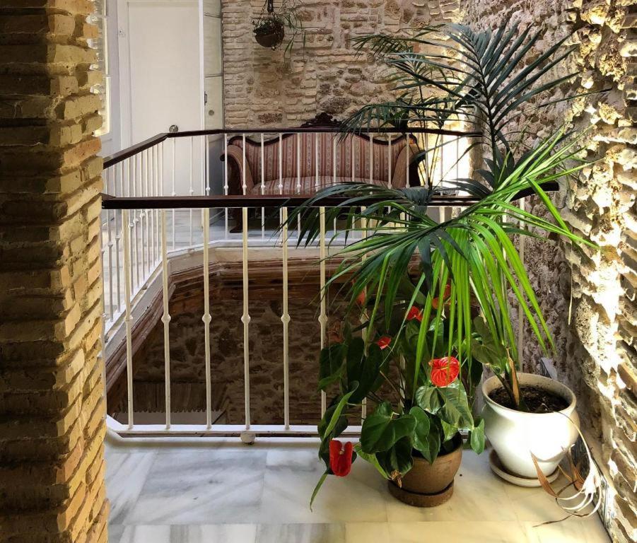 Apartamentos Rosario Centro Cadiz Dış mekan fotoğraf